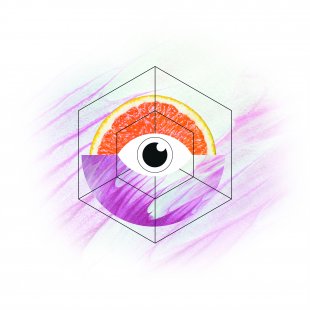 VISION-logo6_100x100